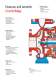 CombiChem / CombiMag - Johnson Pump