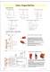 2008 Main Catalogue - Idem Safety switches