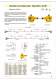 2008 Main Catalogue - Idem Safety switches