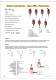 2008 Main Catalogue - Idem Safety switches
