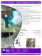 Patriot� Multi-Color Gelcoat System Brochure - Magnum Venus