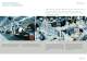 Rosenberger-OSI Cabling Systems - OSI Fiber-Optics