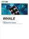 Industrial IP-67 Switch Solutions - Ethernet Direct