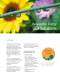 Thermal Characterization of Photovoltaic Materials - NETZSCH-Ger�tebau