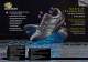 2009 catalogue - Shoes for Crews Europe
