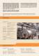ECOSTAR Industrial Hot Air Generators - Termo Isi Sistemleri