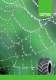 NHT Forestry tyres brochure - Nokian Heavy Tyres