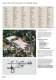THE  BROCHURES  OF STEIMEL PUMPS - Steimel