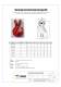 G80 Chain Shortening Grab Hook European Clevis Type - TOOLEE GROUP INDUSTRIAL