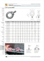 6401 LIFTING EYE BOLT DIN580