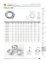 6402 LIFTING EYE NUT DIN582