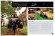 VIBRATORY PLOWS - The Charles Machine Works, Inc