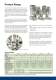 Non-Drip Quick Connect Couplings - CEJN