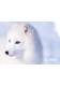 Foamalux PVC Brochure - Brett Martin Plastic Sheets
