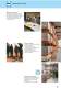 Fiberglass Cable Ladders UL Series - Ebo Systems