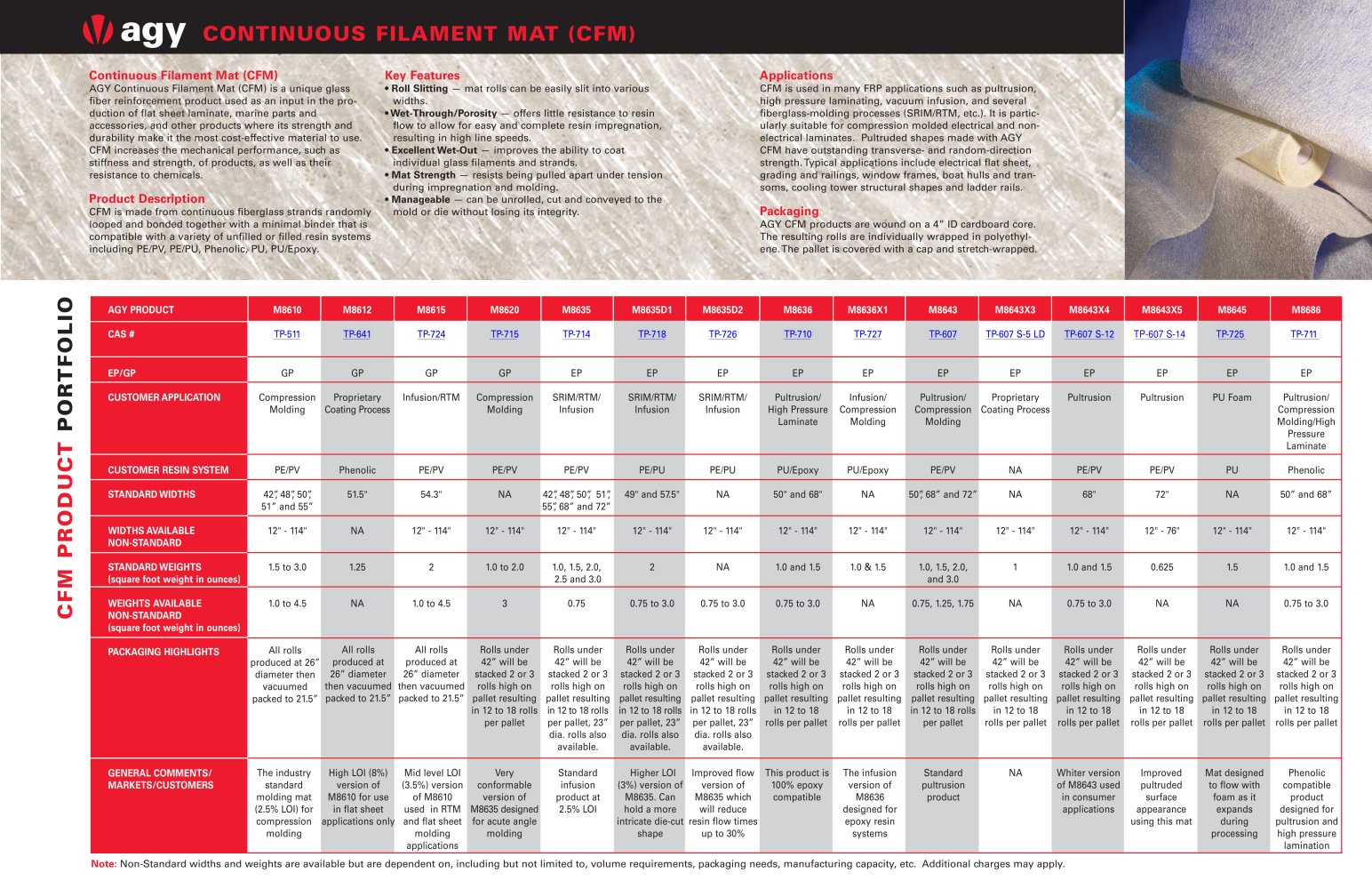 CONTINUOUS FILAMENT MAT (CFM) - agy