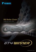 GT4 Winner