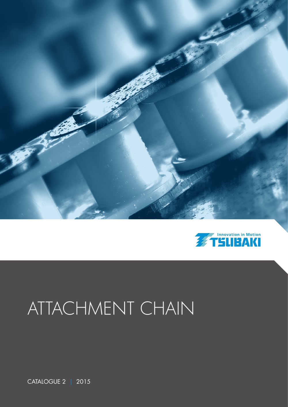 Tsubaki Attachment Chain - Tsubakimoto Chain