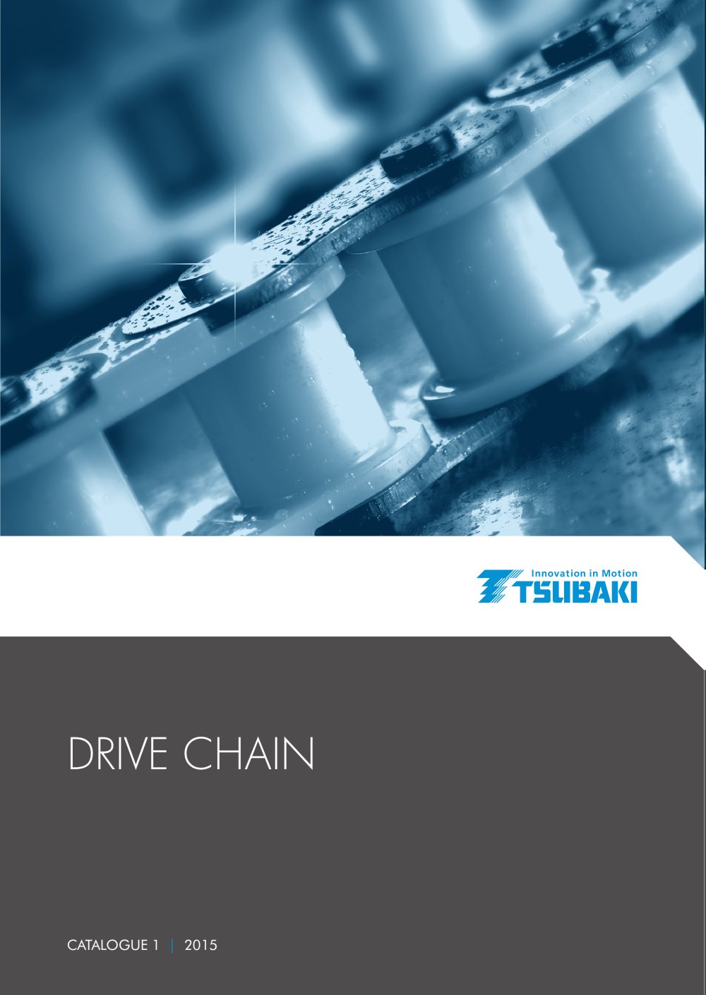 Tsubaki Drive Chain - Tsubakimoto Chain
