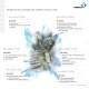 Product range - TORNOS