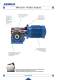 JPM gearmotor - RENOLD
