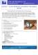 LINK INSTRUMENTS LTD Catalogue - Link Instruments