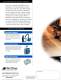Vehicle Exhaust Removal Systems - Airflow Systems