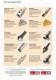 Main Catalogue EN