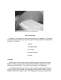 Abrasive&nbsp;brush&nbsp;Catalog p 5