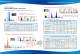 WDXRF WDX400E Cement Analysis - Skyray Instrument