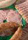 Imtech Drying Technology - Imtech DryGenic