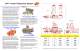 Almond / Nuts pasteurizer - Imtech DryGenic
