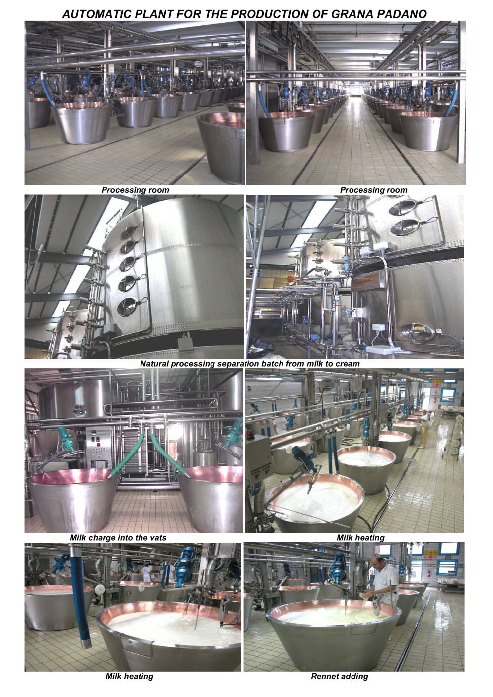 AUTOMATIC PLANT FOR GRANA PADANO CHEESE - Magnabosco
