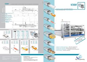 V300 Continuous Motion Horizontal Cartoner