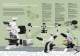 MICROS Laboratory Microscope LILY MCX500 - MICROS Produktions- & Handels GmbH.