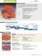 Abrasive specialities 2010 - Norton Abrasives