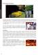 Catalogue 2010 - Lantech Communications Europe GmbH