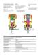 DELTA AP1 - Aseptic valves - APV