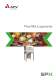 Flex-Mix Liquiverter - APV