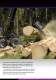 LOGSET HARVESTERS & HEADS - Oy Logset Ab