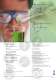 GreenLine - KW