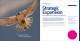 Company Profile - Meccalte