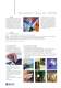 BradySoft - Selling Sheet - BRADY