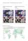 Habasit Printing Blankets (4278) - Habasit