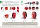 Automatic hose-reels Catalogue 