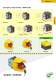 safety sensors - WIELAND ELECTRIC