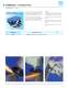 2008 COMBIDISC� Catalog - PFERD