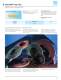 2008 POLIFAN� Flyer - PFERD