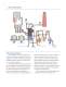 Level and Flow Instruments for Flue Gas Desulfurization - MAGNETROL