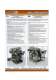 Gamma C (Auger) - Universal Pack